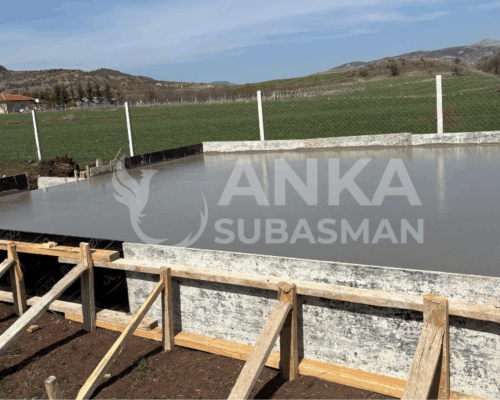 Bolu Subasman